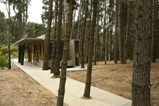 Illustration for article titled 8 Buildings Designed to Incorporate the Trees Around Them